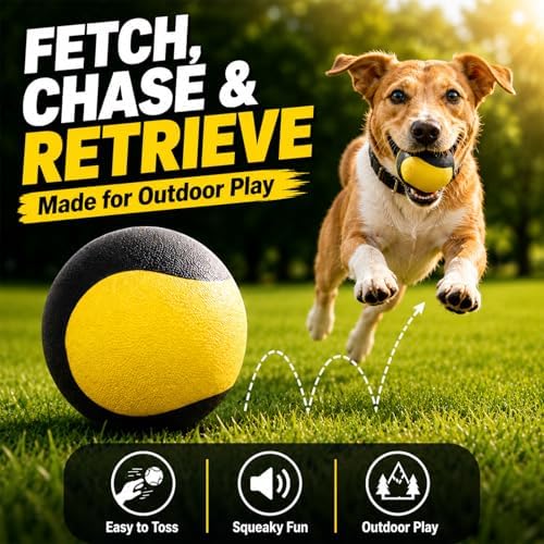 Squeaky Balls for Dogs, Interactive Rubber Fetch Toy for Small Medium Dogs
