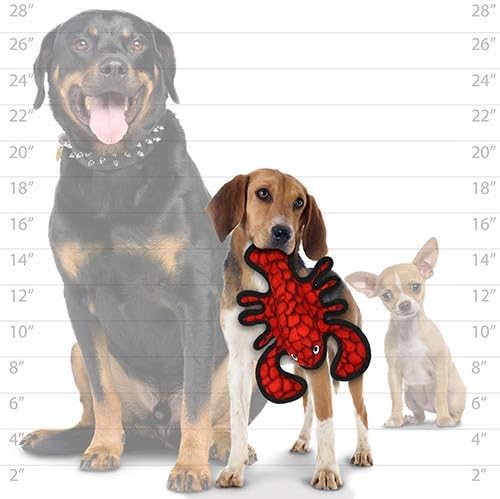 TUFFY® 3 Pack Lobster Stingray Tiger-Shark Ultra Durable Plush Dog Toys