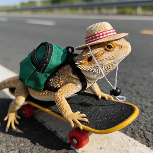 3 Pack Bearded Dragon Toy Set Includes a Bearded Dragon Backpack, an Adjustable hat, and a mini Skateboard Toy, for Small Reptile Pets Such as Lizards, Hamsters, Parrots, and Turtles.（Green）