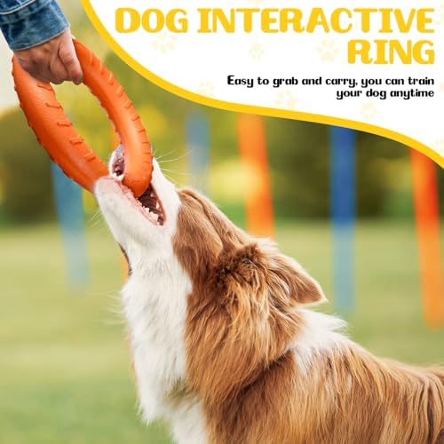 4 Pack 7.48 Inch Dog Ring Toy for Large Medium Dog Training, Multicolored