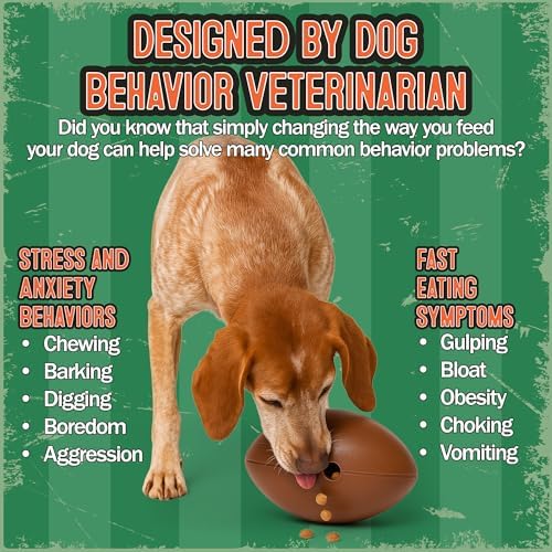 Food Puzzle Feeder for Large or Medium Dogs, 5C