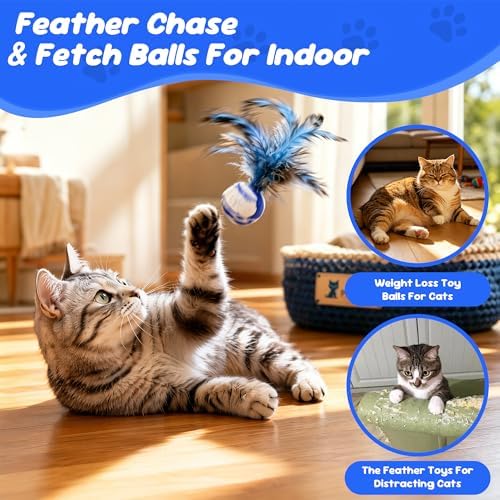 Cat Feather Toys 20 Pack, Cats Bouncy Balls for Indoor Cats
