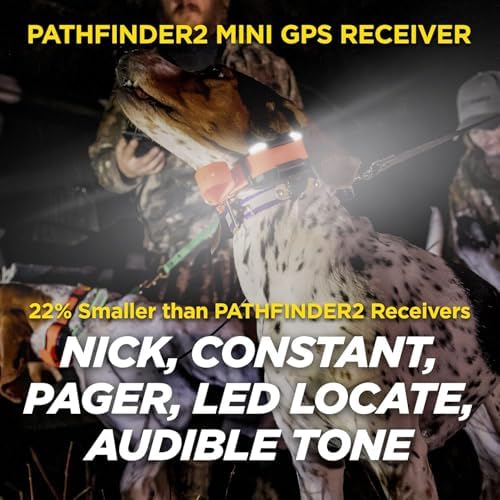 Dogtra Pathfinder2 Mini GPS Tracker e Collar + Add-on Receiver (Black) | 4 Mile, LED Light, Waterproof, Free App, No Fees, Smartwatch Control, Satellite Tracking, Multi Dogs, Smartphone Required