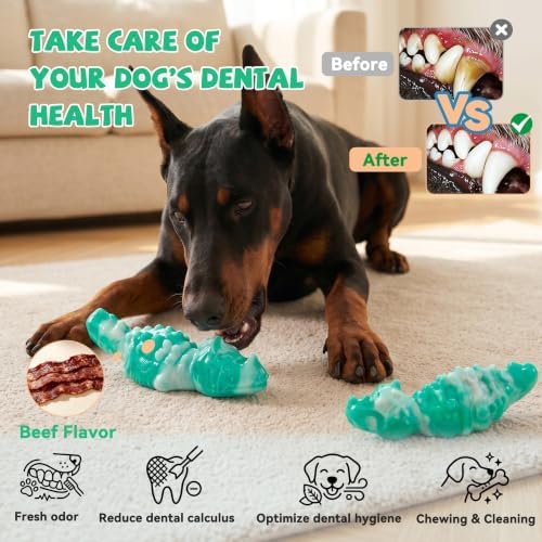 WinTour 2Pack Tough Dog Toys for Aggressive Chewers, Dog Chew Toys for Play