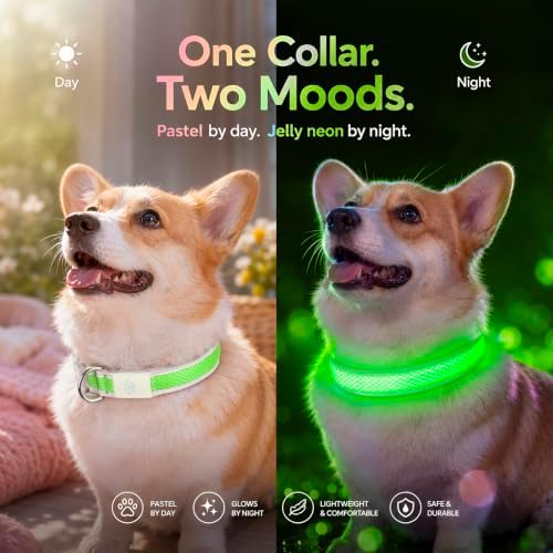 Multicolor LED Dog Collar USB-C Rechargeable, Light Up Dog Collar, Rainbow Gradient Glowing Dog Collar with 4 Light Modes, Adjustable Candy Mesh Pet Collar(Green, Small)