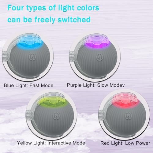 Interactive Cat Dog Toy Ball with LED Light, Automatic Rolling(Grey)