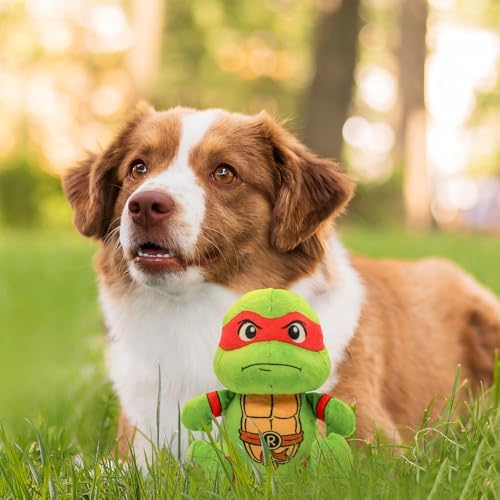 Teenage Mutant Ninja Turtles, Stuffed Animal for Dogs, Raphael