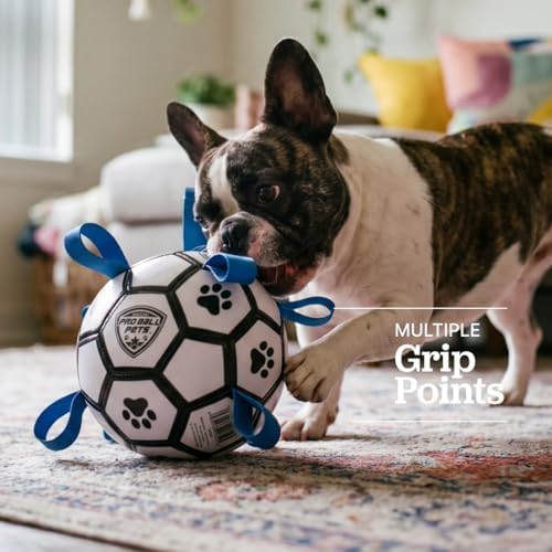 Maccabi Interactive Dog Soccer Ball for Dogs, 6” with Straps & Grab Tabs, Floats on Water, Fetch & Training Toy for Small/Medium Dogs, Herding Breeds, Waterproof Non-Toxic – ProBall Pets – White Blue