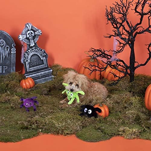 Fringe Studio, Creepy CRAWLY Spiders, Small Plush Dog Toy 3PCS Set, PetShop Collection (289479)