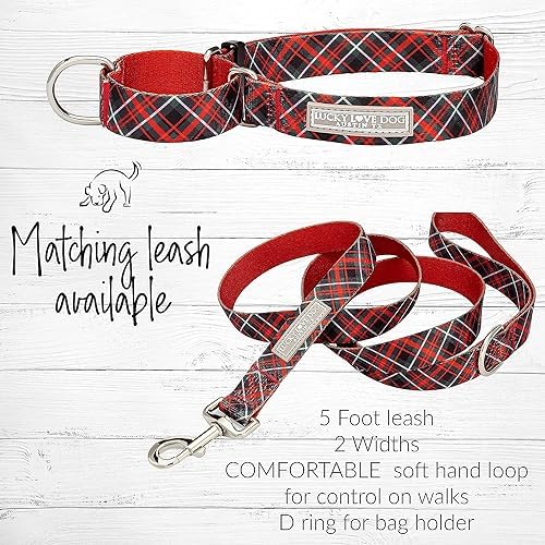 Lucky Love Dog Martingale Collar & Leash Set No Slip Cute – Heywood, Large