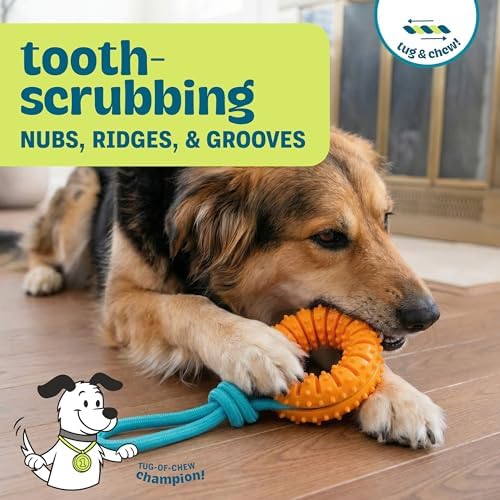 Dental Chew Wheel Durable Dog Toy, Tug & Chew, Mint Scent, 9.6"