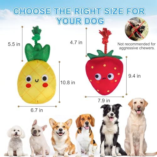 BEAUTYZOO Floating Dog Pool Toys 2 Pack,Squeaky Water Fetch Toys for Summer