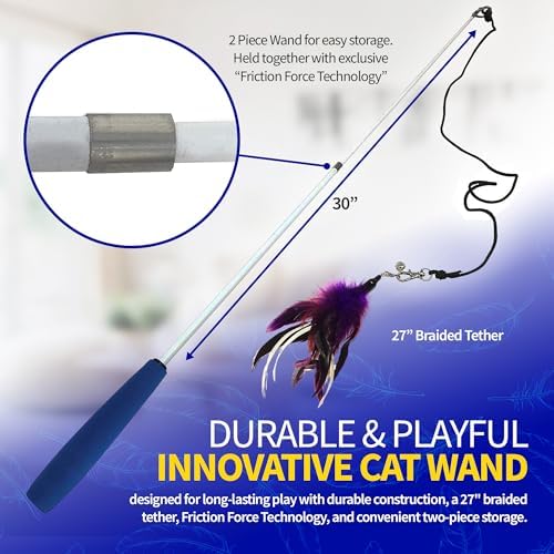Pet Fit For Life Cat Feather Interactive Wand Toy Set, Red & Purple - 2pack