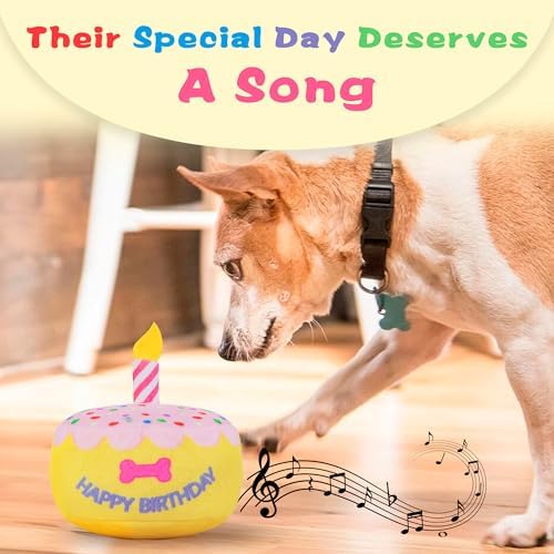 Dog Birthday Cake Toy, Larger Birthday Gift with Music Box