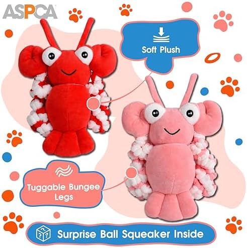 ASPCA 2 Pack Plush Dog Toy with Squeaker for Small & Medium Dogs, Soft Durable Stuffed Pet Toy for Fetch, Tug & Cuddle, Interactive, Lightweight, Engaging Play Toy for Dogs