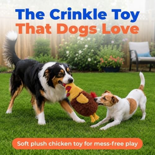 Best Pet Supplies Interactive Squeaky Dog Toy - Crinkle Chicken, Red | Stuffing Free Body, Soft, Squeaks & Crinkles, No Mess, Perfect for Moderate Chewers, Toss and Fetch Play