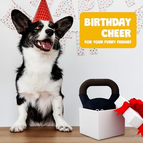 Kettlebell Dog Toy – Funny Squeaky Dog Toys for Interactive Play and Training – Durable, Easy to Clean, Birthday Gifts for Small, Medium and Large Dogs