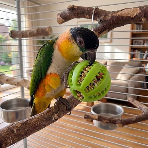 4 Pcs Silicone Bird Foraging Toys, Treat Dispenser Balls with Flexible Gaps for Conures, Parakeets and Cockatiels, Easy to Clean Pet Enrichment Feeder, Red Blue Yellow Green, 2x2 Inches