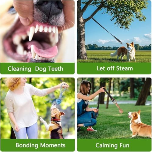 Spring Pole Dog Rope Toys,Dog Bungee Toy, Hanging from Tree, Tether Tug for Small to Large Dogs with 3 Pieces Chew Rope