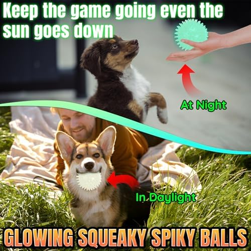 LECHONG 6-Pack Glow in The Dark Squeaky Dog Balls, Spiky Dog Toy Balls, Durable Glowing Rubber Fetching Ball for Small & Medium Dogs Nighttime Playing Indoors & Outdoors