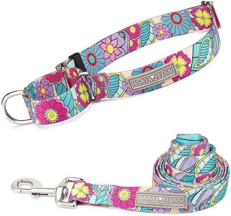 Lucky Love Dog Martingale Collar & Leash Set No Slip – Caroline, Medium