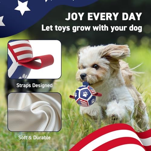 QDAN Puppy Balls, Small Dog Toys, Dog Balls with Straps for Small Breed | 3.5 Inch Small Soccer Ball for Dogs, Puppy Toys for 3-15 lbs Dogs, Dog Birthday Gift, Herding Ball for Small Dogs, Flag