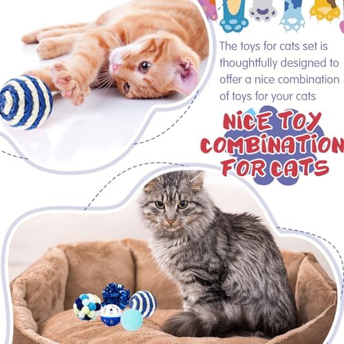 Gemscream 46 Pcs Cat Toys Set Interactive Cute Cat Indoor Toys, Blue
