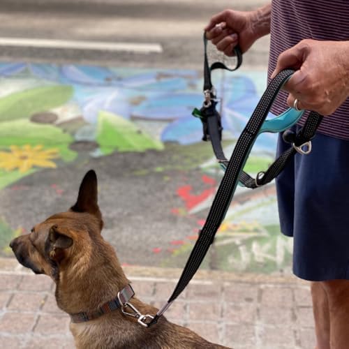 Heavy Duty Dog Leash for Large Dogs – 6FT Reflective Bungee with Padded Handles, Strong Carabiner Clip, No Pull Control for Medium & Large Breeds, Includes Poop Bag Holder & Treat Pouch (Hot Pink)