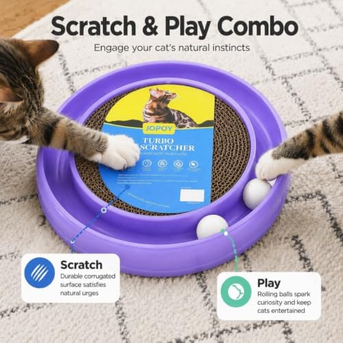 Cat Scratcher Toy Ball Track (Purple)