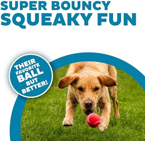 Outward Hound Squeaker Ballz Tennis Ball Dog Toy, Medium, 2.5", 4‑Pack | Squeaks & Bounces, Bright Colors, Interactive Fetch & Training, Indoor Outdoor, Moderate Chewers, Medium Dogs (Under 50 lbs)