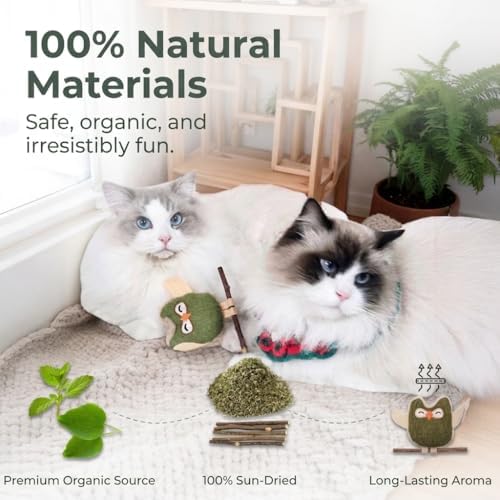 Catnip Silvervine Cat Toys, Owl Plush for Indoor Cats and Kittens, 4 Pack