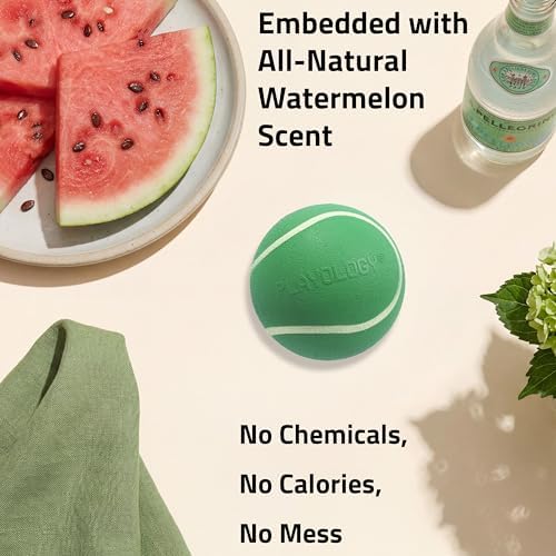 Playology Squeaky Chew Ball Dog Toy - Jumbo, Watermelon Scent