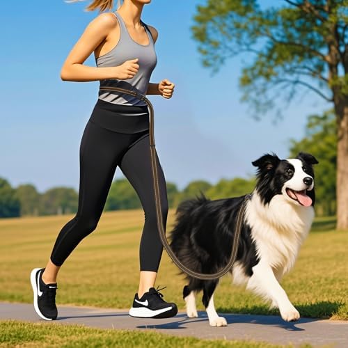 Puppy Dog Collar & Hands-Free Dog Leash Adjustable Length 5-8 Ft Adjustable Nylon Collar with Quick-Release Buckle