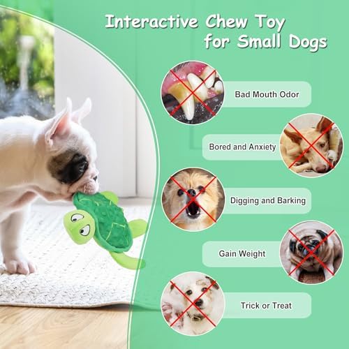 Squeaky Sea Turtle Plush Dog Toy - Durable, No Stuffing (Green)