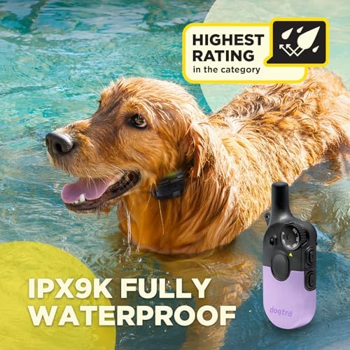 Dogtra 200iQ Remote Training E Collar – 100 Levels, Tone, Vibration, 1/2 Mile Range – Compact, Waterproof, One-Handed Control for Dogs 10 lbs+ – Lightweight Daily Training – Slip Resistant Lavender