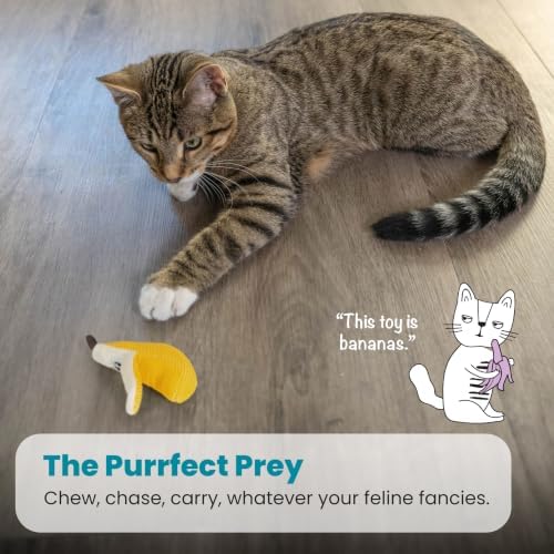 Catstages Dental Banana Cat Toy with Catnip, Dental Mesh & Crinkle Sound, Interactive Kicker for Indoor Cats & Kittens, 5.3"