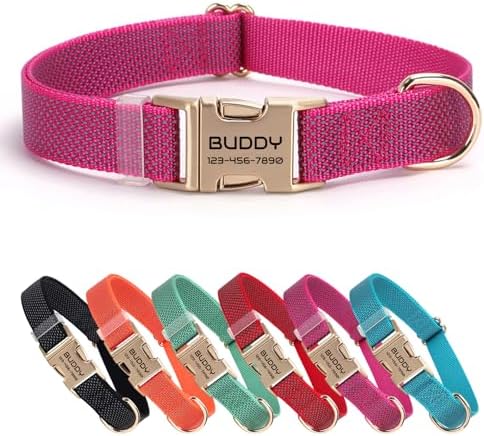 Personalized Reflective Nylon Dog Collar with Name, Rose