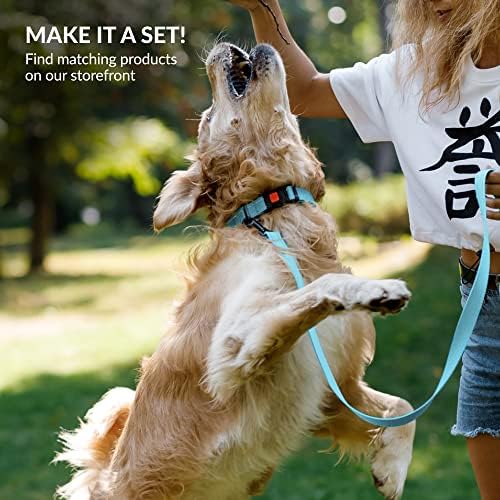 Reflective Dog Collar, Quick-Release Buckle (Light Blue, 14-18 Inch)