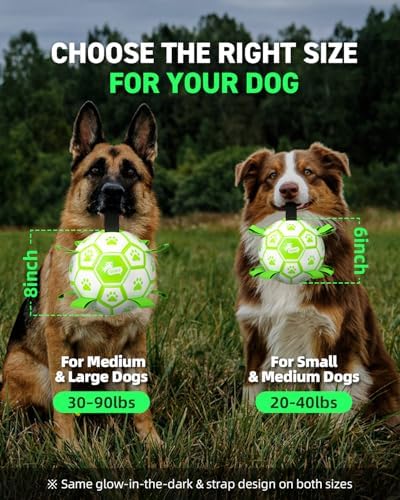 QDAN Premium Glow in The Dark Dog Toys, Dog Ball with Straps, Soccer Ball for Dogs, Outdoor Dog Toys, Pet Birthday Toys, Puppy Essentials for Medium to Large (8Inch)