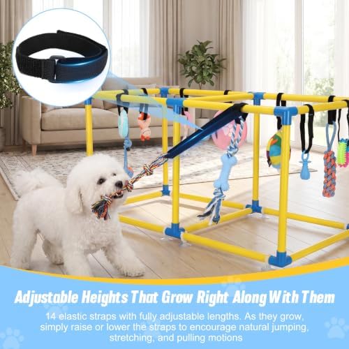 Puppy Play Gym with 12 Hanging Toys (Yollow)