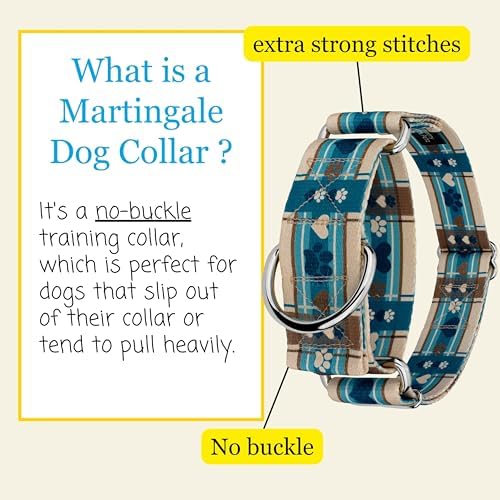 Country Brook Petz - HossFit Jr Wide Martingale Dog Collar - Plaid and Argyle Collection Featuring Charming Designs (Puppy Picnic, Extra Large)
