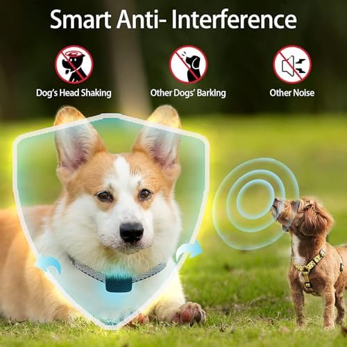 Pet Training Collar,Smart Dog Bark Collar, Anti-Barking Device with Smart Interference，Effective AI Bark Collar with Adjustable Beep Vibration Modes & 5 Sensitivity ，USB Rechargeable，IP67 Waterproof