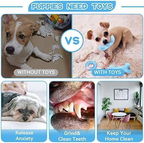Petcare 6 Pack Puppy Chew Toys - Blue, Soft Rubber Rope & Bone Ball Teething Toys for Small Dogs & Puppies, Including Yorkie