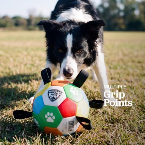 Maccabi Interactive Dog Soccer Ball for Dogs, 6” with Straps & Grab Tabs, Floats on Water, Fetch & Training Toy for Small/Medium Dogs, Herding Breeds, Waterproof Non-Toxic – ProBall Pets – Multicolor
