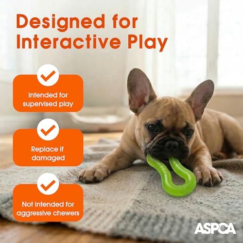 ASPCA TPR Translucent Twist Double Ring Dog Toy – Infinity Shape, Vanilla Scented, Gentle on Teeth, Durable Outdoor Play, Dental Health Chew Toy