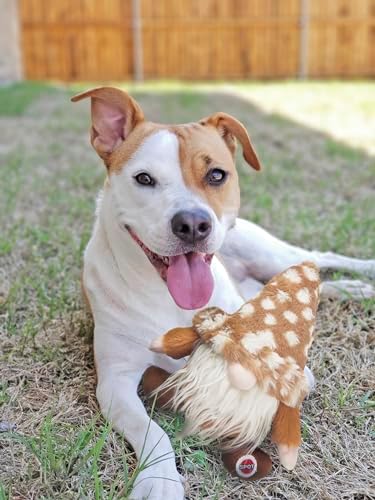 SPOT Woodsy Gnome Dog Toy - Soft, Stuffed, Squeaky, Plush Fabric Toy for Medium and Large Dogs and Puppies, Enrichment for Light Chewers and Cuddlers, 12in, Assorted Colors