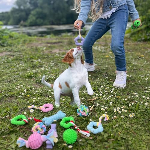 Puppy Chew Toys, 6 Pack Puppy Teething Toys for Small Breed, Soft Rubber Cute Multi Dog Toys, Eco-Friendly, Teeth Cleaning Interactive for Small Dogs (Basket not Included)