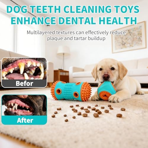 Dog Chew Toys 3 Pack, Squeaky Toy, Treat Dispensing Slow Feeder for Large and Medium Dog, Multifunctional Teeth Cleaning and Gum Massage (Dumbbell-Ball-Star)