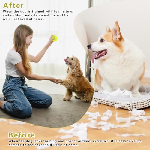 Magicorange Small Tennis Balls, 40 Pack 2 inch Tennis Balls for Dogs