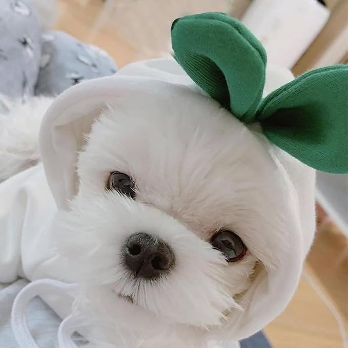 Dog Hoodie Warm Autumn Winter Pet Sweatshirt (White Radish Hoodie,S) | Cute styling Pet Clothing Coat For 2-25 Lbs Small Medium Dog Cat French Bulldog Chihuahua Pug Boston Terrier Poodle Dachshund